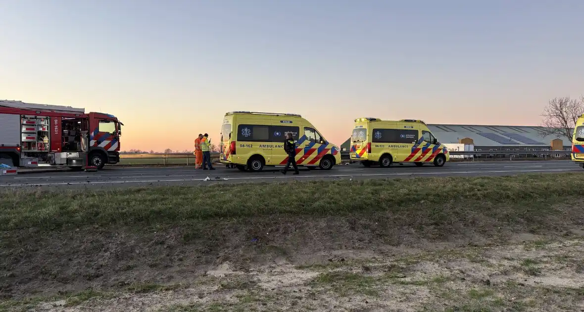 Verkeersongeval door loslopende hond op snelweg