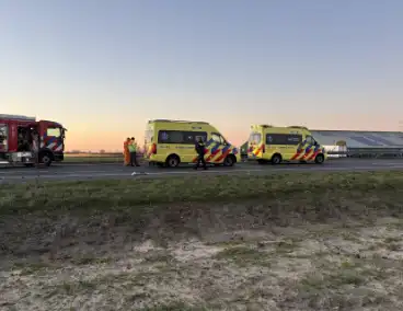 Verkeersongeval door loslopende hond op snelweg