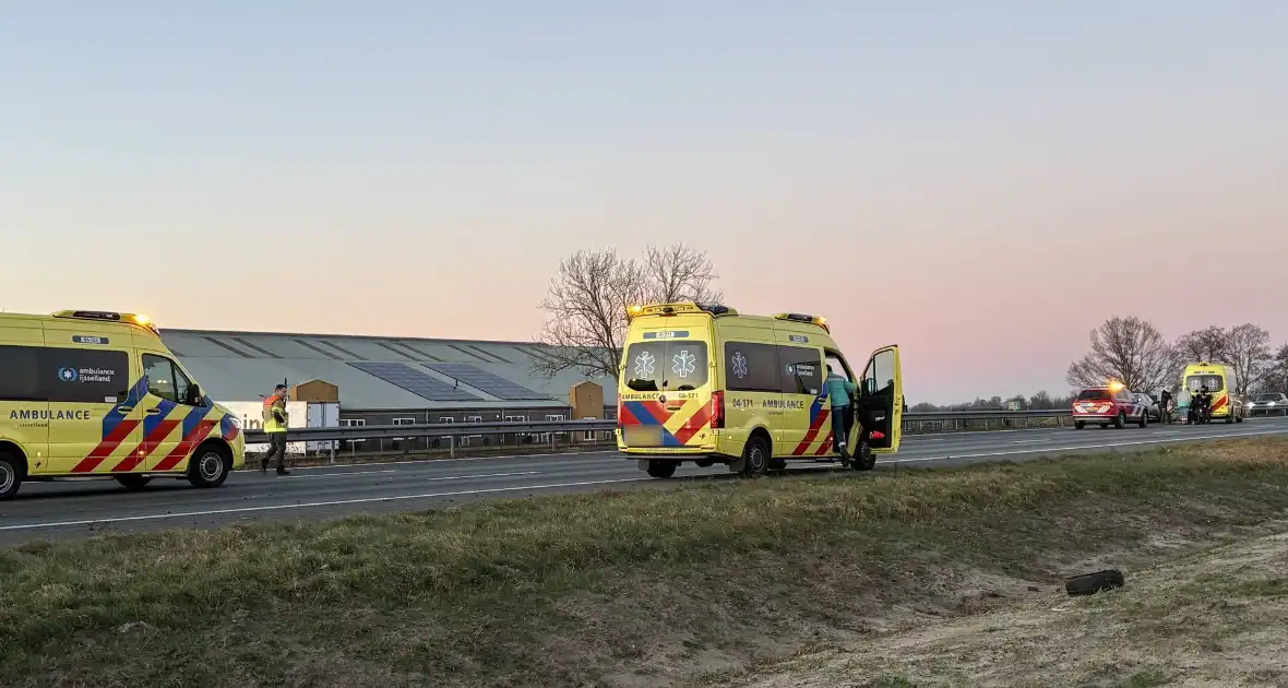 Verkeersongeval door loslopende hond op snelweg - Foto 2
