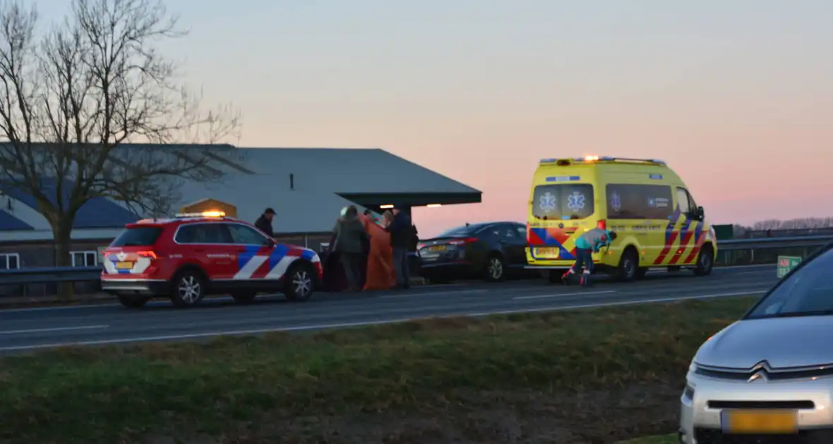 Verkeersongeval door loslopende hond op snelweg - Foto 8