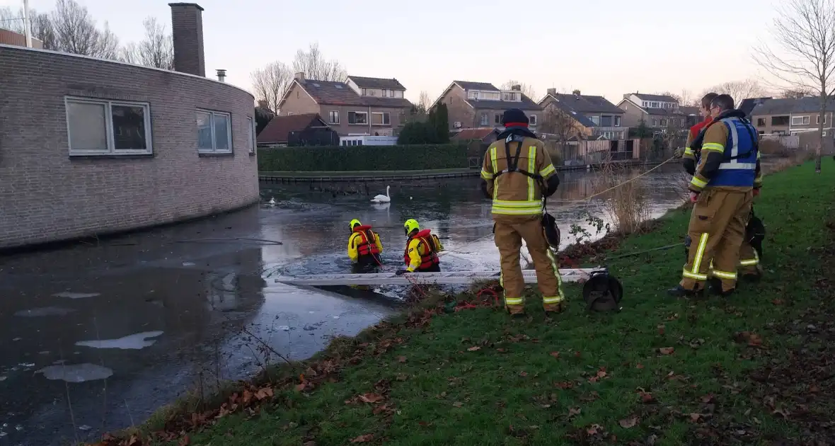 Eend vast op ijs krijgt hulp