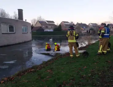 Eend vast op ijs krijgt hulp