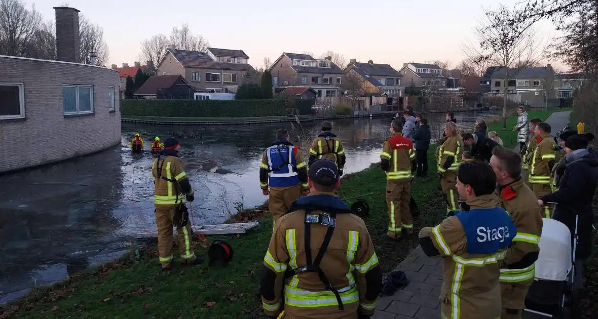 Eend vast op ijs krijgt hulp - Foto 1