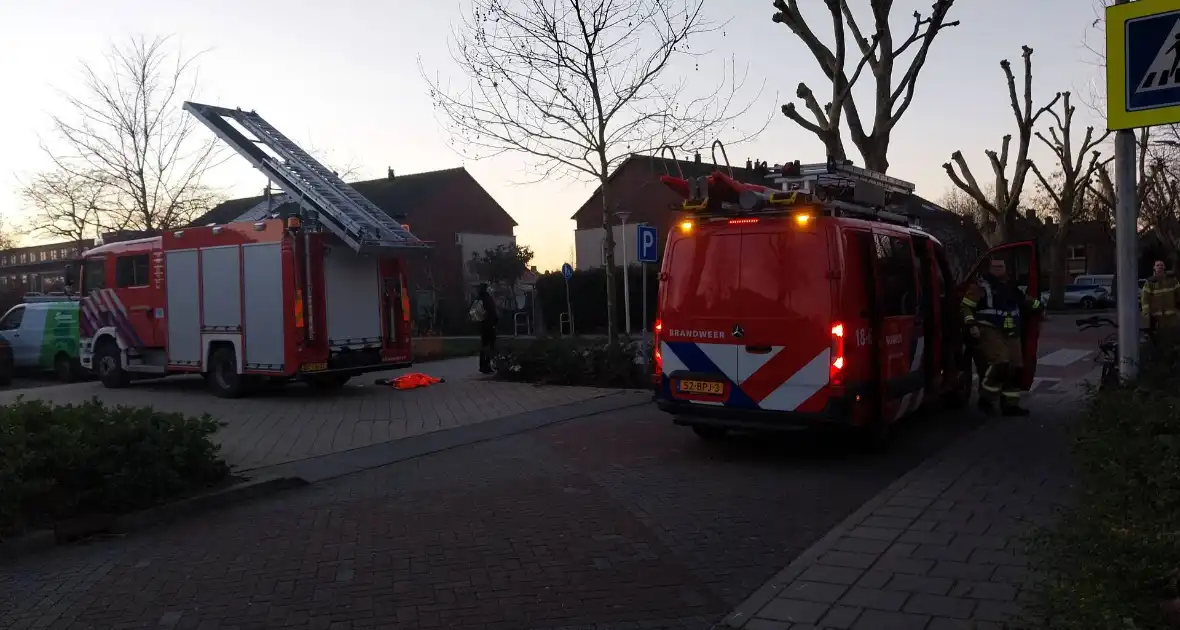 Eend vast op ijs krijgt hulp - Foto 2