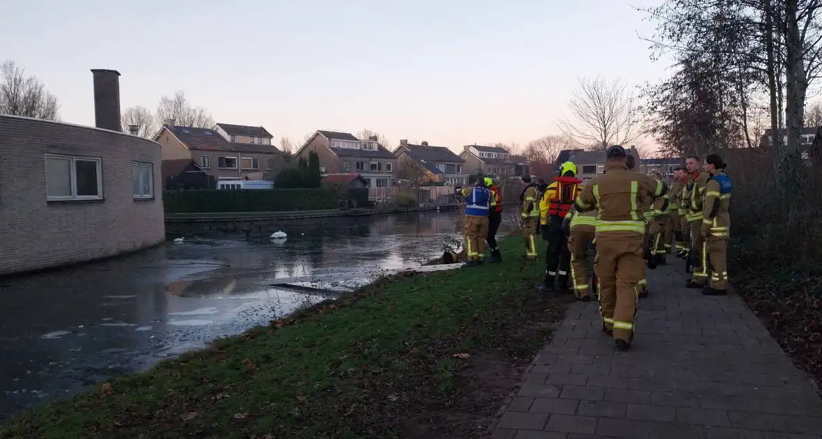 Eend vast op ijs krijgt hulp - Foto 3