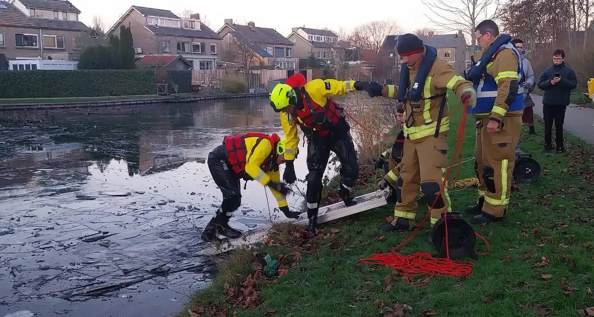 Eend vast op ijs krijgt hulp - Foto 6