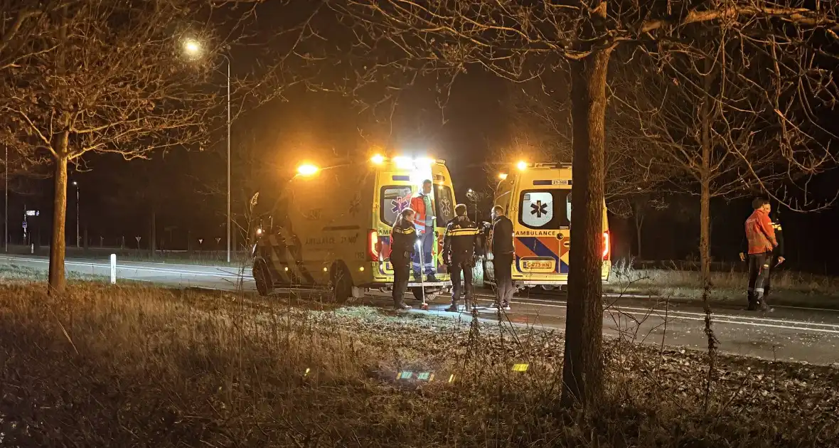 Gewonde en forse schade aan boom, paal en auto - Foto 1