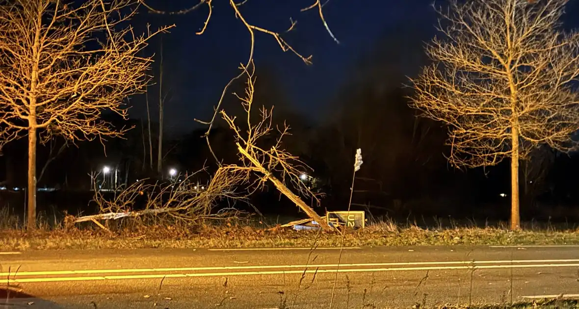 Gewonde en forse schade aan boom, paal en auto - Foto 3