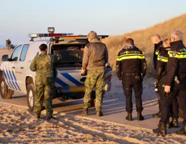 Magneetvisser vist handgranaat op