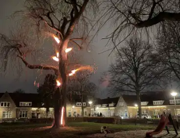 Spookboom in lichterlaaie midden in woonwijk