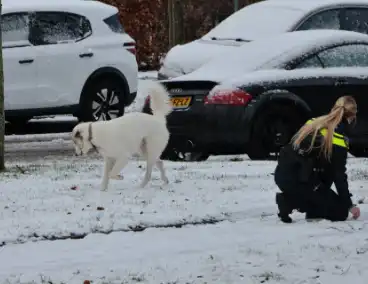 Ontsnapte hond Rylin na kat en muisspel van twee uur gevangen
