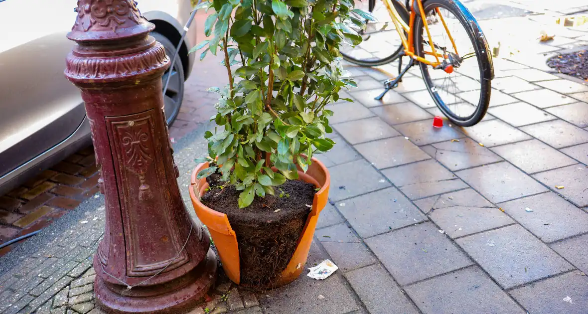 Politie onderzoekt explosie en brandstichting - Foto 7