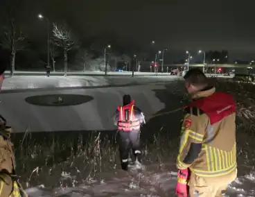 Duikteam ingeschakeld voor vastzittende zwaan