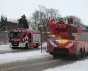 Brandweer redt kat uit ondergesneeuwde boom