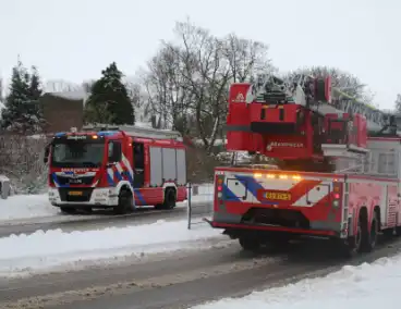 Brandweer redt kat uit ondergesneeuwde boom
