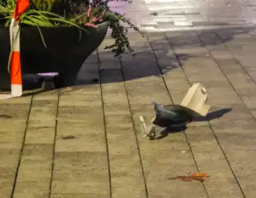 Explosie slaat gevel weg bij plofkraak op geldautomaat