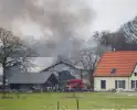 Brand in grote stal brengt vee in veiligheid