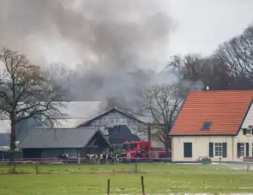 Brand in grote stal brengt vee in veiligheid