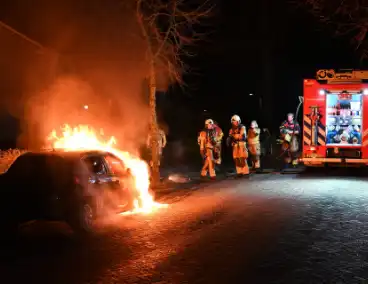 Auto in nachtelijke uren verwoest