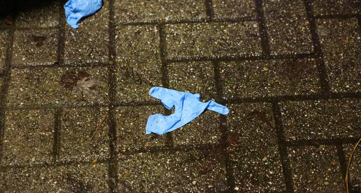 Twee zwaargewonden aangetroffen na mishandelingen - Foto 10