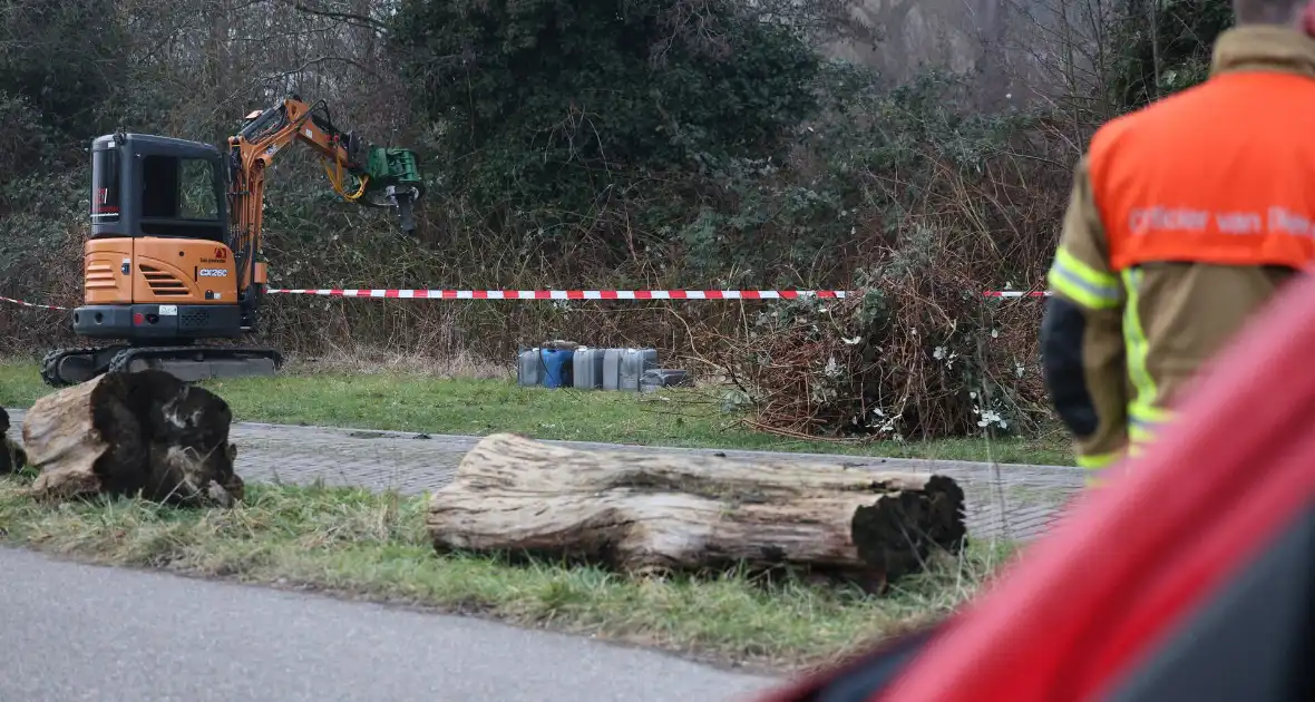 Tientallen vaten ontdekt in bosschages - Foto 9