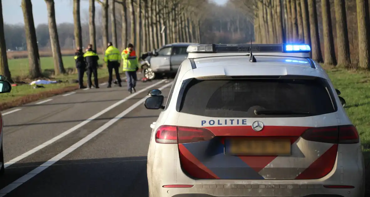 Dodelijk ongeval met auto tegen boom - Foto 3