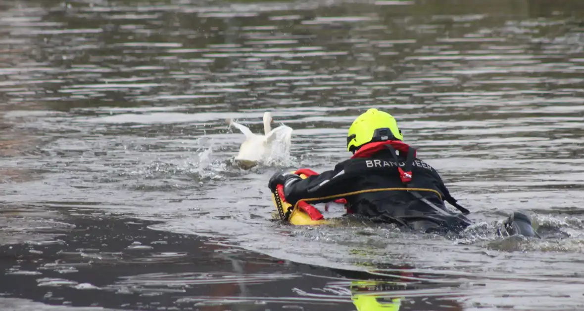 Brandweer probeert eend te redden uit het water
