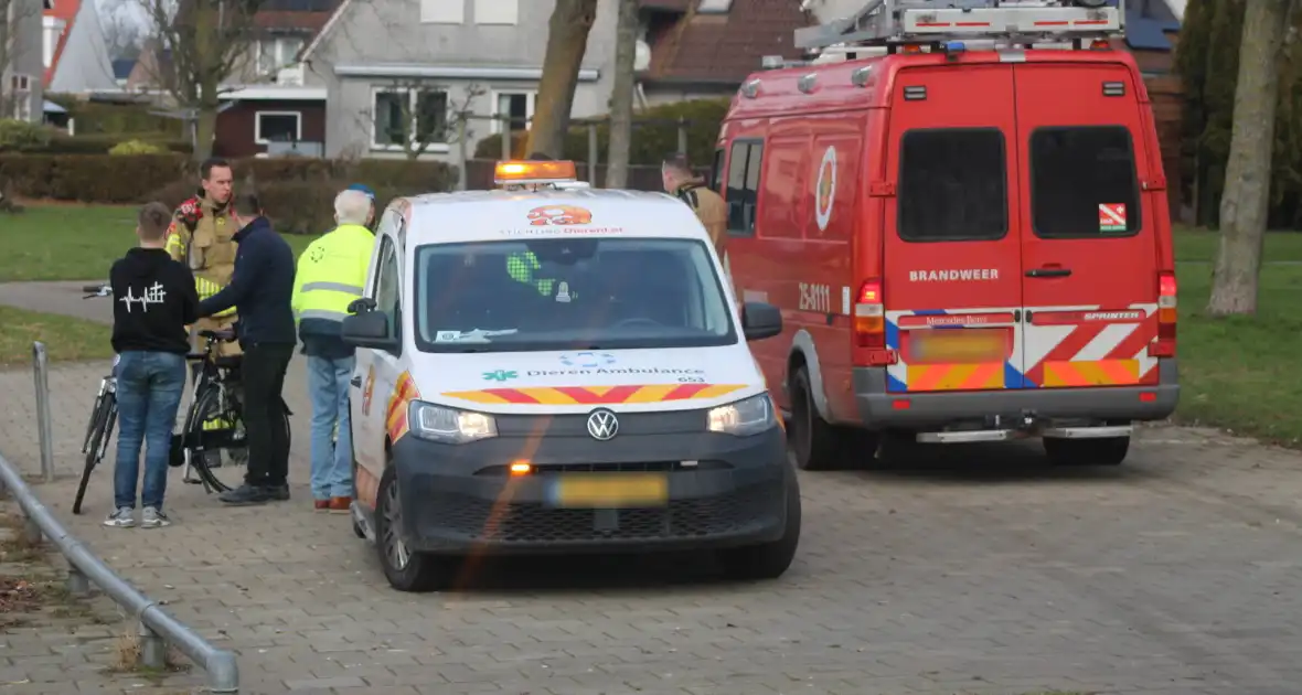 Brandweer probeert eend te redden uit het water - Foto 8
