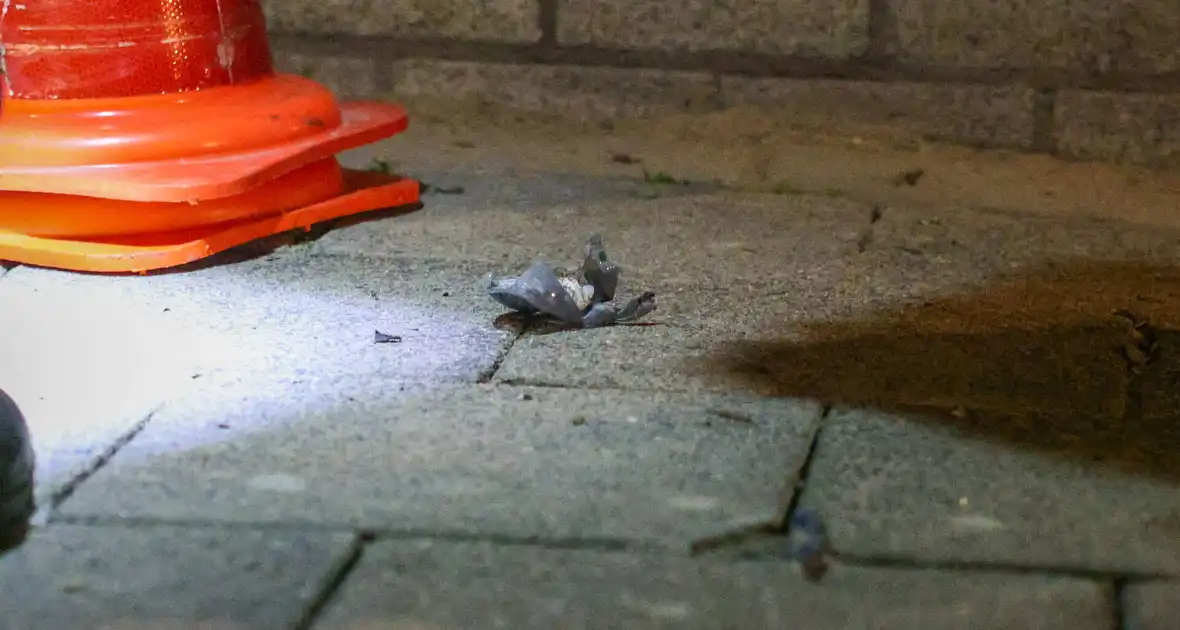 Explosie bij portiekwoning veroorzaakt aanzienlijke schade - Foto 2