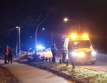 Auto botst tegen boom na uitwijkmaneuvre