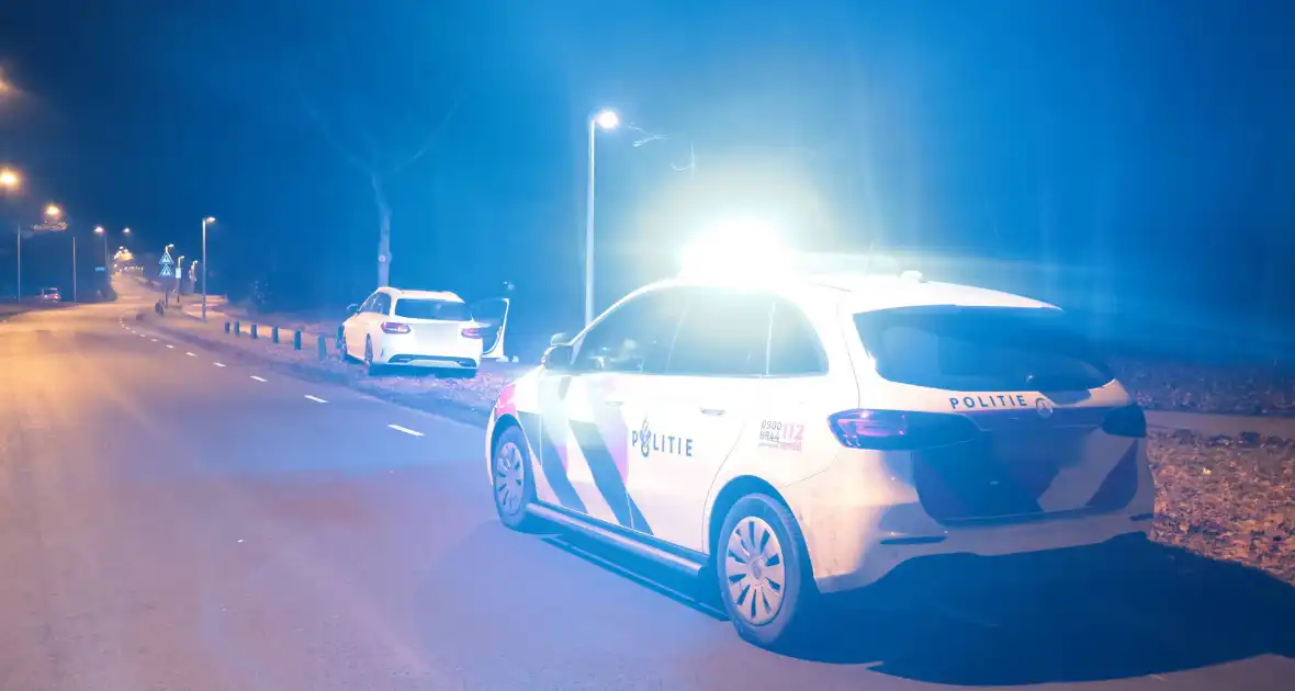 Auto botst tegen boom na uitwijkmaneuvre - Foto 5
