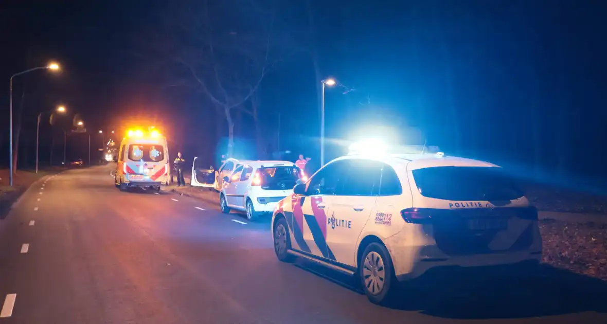 Auto botst tegen boom na uitwijkmaneuvre - Foto 8