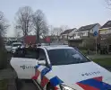 Politie massaal aanwezig bij vechtpartij in Zuiderzeewijk