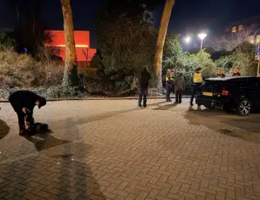 Brand in boom vergt ingreep van de brandweer