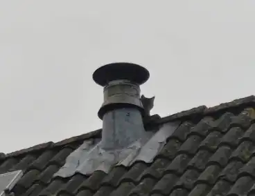 Brandweer helpt kat in nood