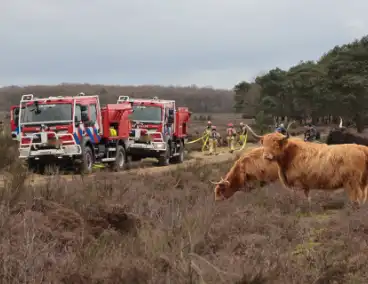 Brandweer houdt grootscheepse natuurbrand oefening