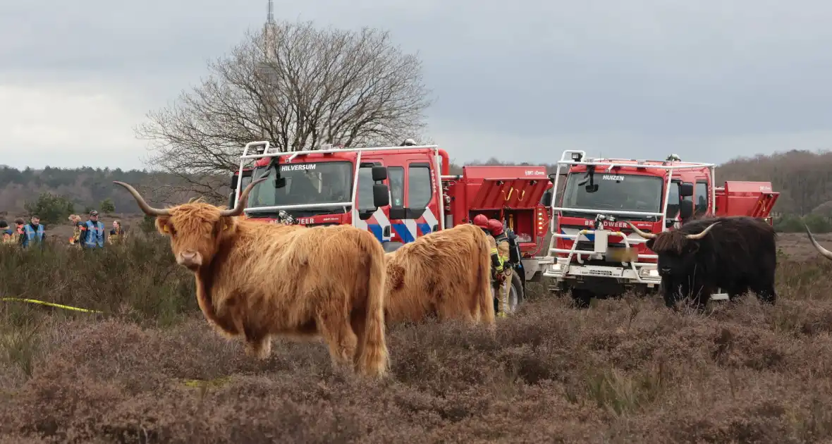 Brandweer houdt grootscheepse natuurbrand oefening - Foto 1