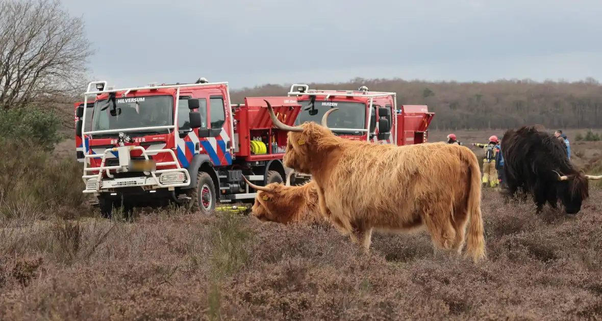 Brandweer houdt grootscheepse natuurbrand oefening - Foto 10