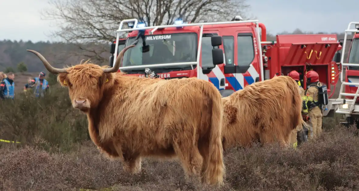 Brandweer houdt grootscheepse natuurbrand oefening - Foto 9