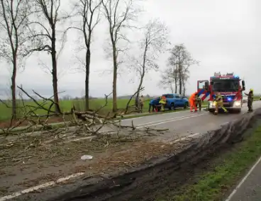 Boom valt op weg en veroorzaakt verkeersopstoppingen