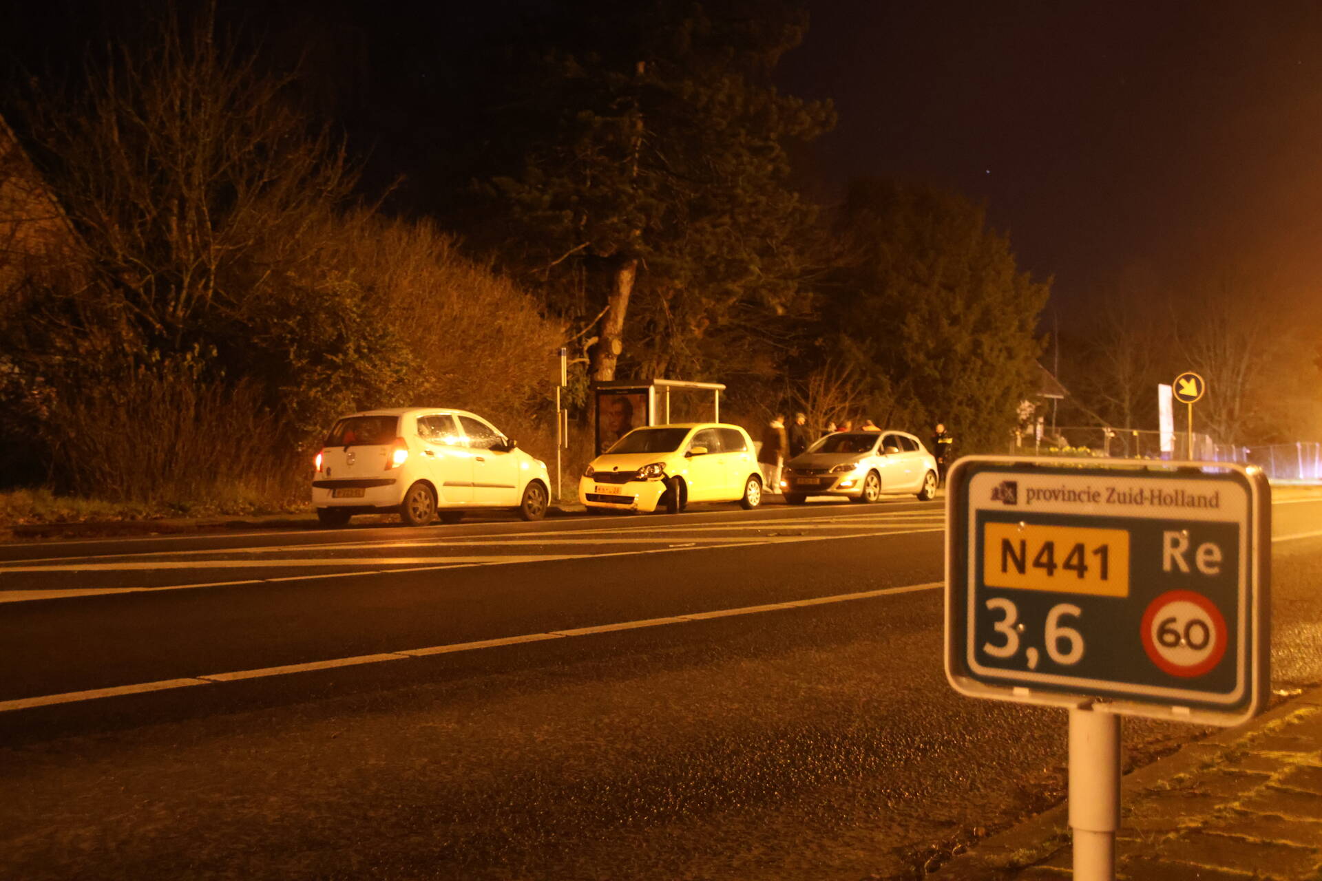 Bestuurder botst tegen verkeersbord