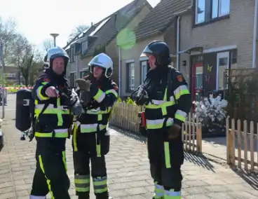Brand op zolder eist leven van kat