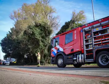 Brandweer verwijdert gevaarlijke takken na ongeval