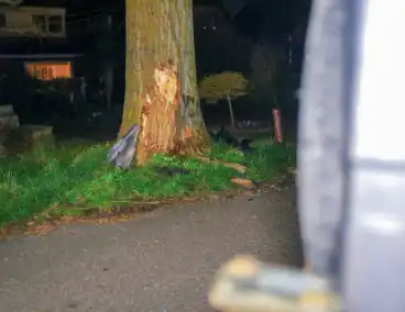 Bestelbus botst tegen boom, bestuurder gewond