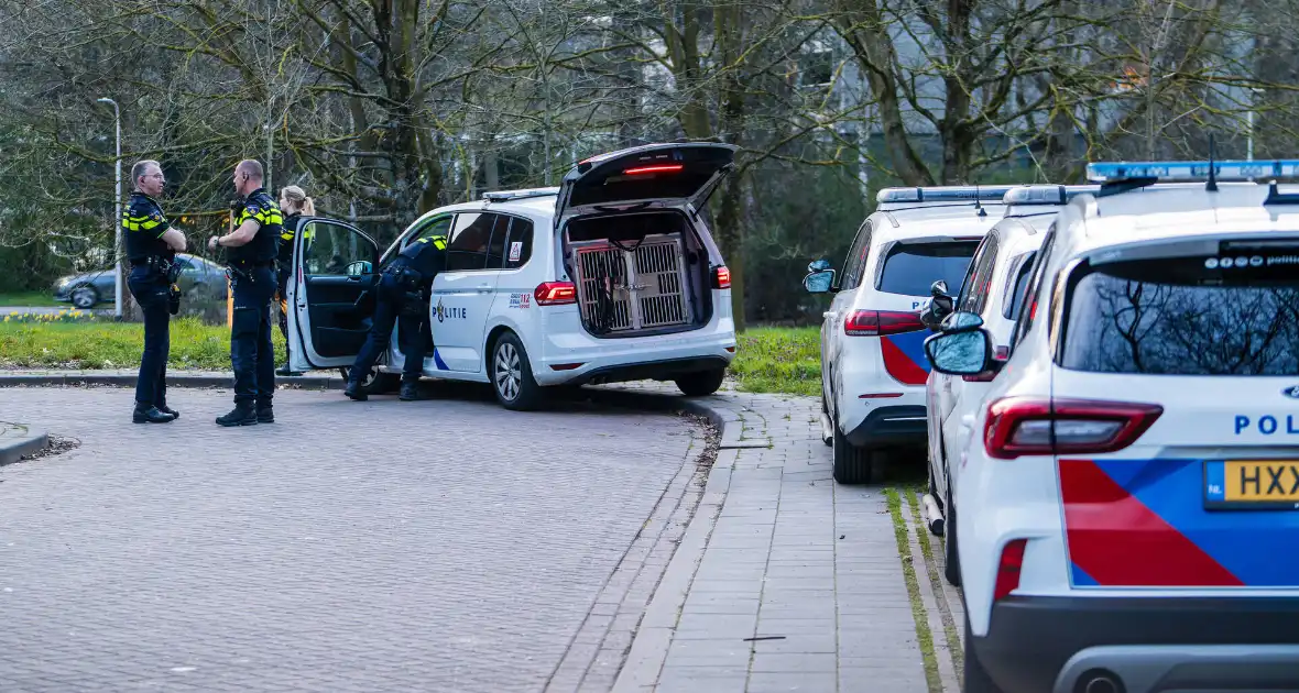 Meerdere politie eenheden aanwezig bij conflict - Foto 7