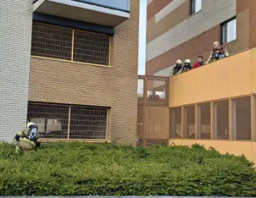 Brandende bosschages snel geblust