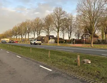 Auto rijdt ree aan op drukke weg