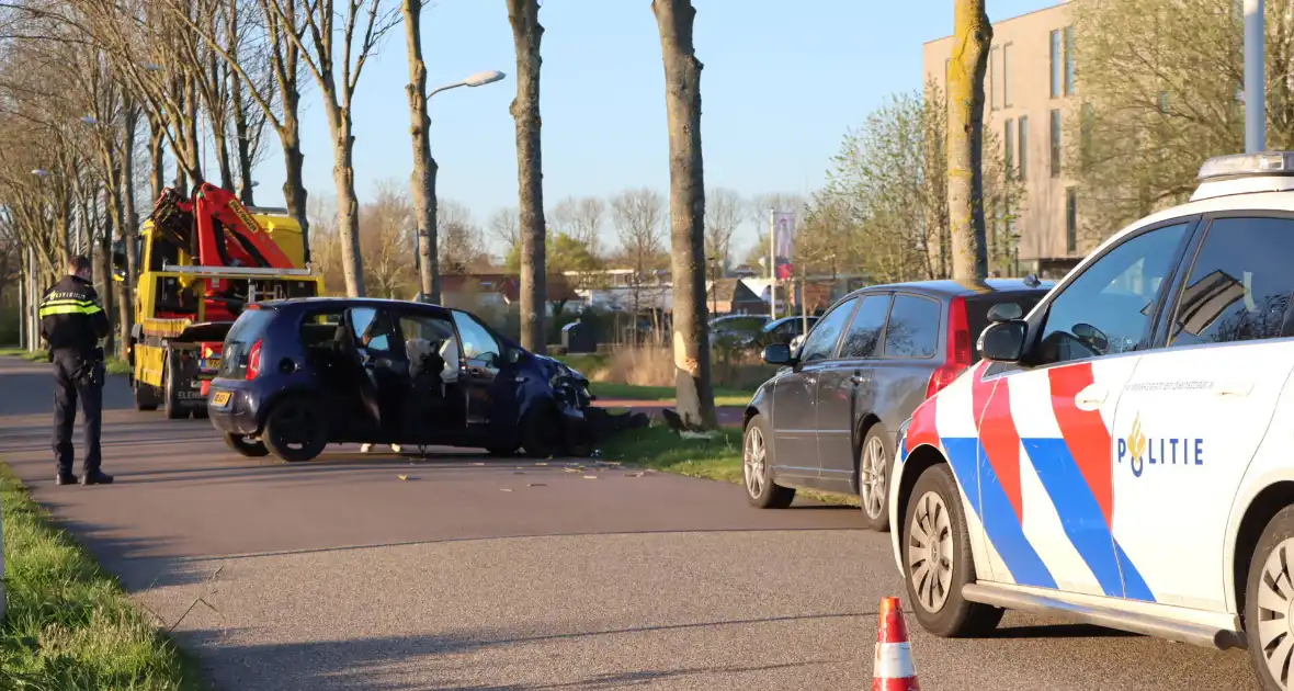 Bestuurder botst tegen boom