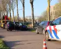 Bestuurder botst tegen boom