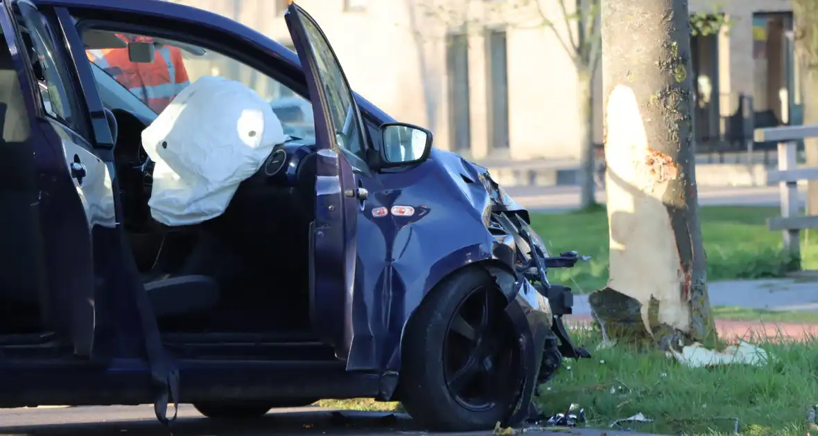 Bestuurder botst tegen boom - Foto 1